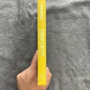 Economic Gangsters Book